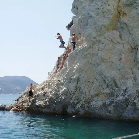 Paradise 3*
